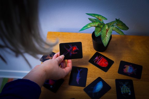 Eine Hand hält eine Karte über einem Tisch mit weiteren Karten und einer kleinen Pflanze.